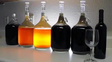 Different ways to brew beer